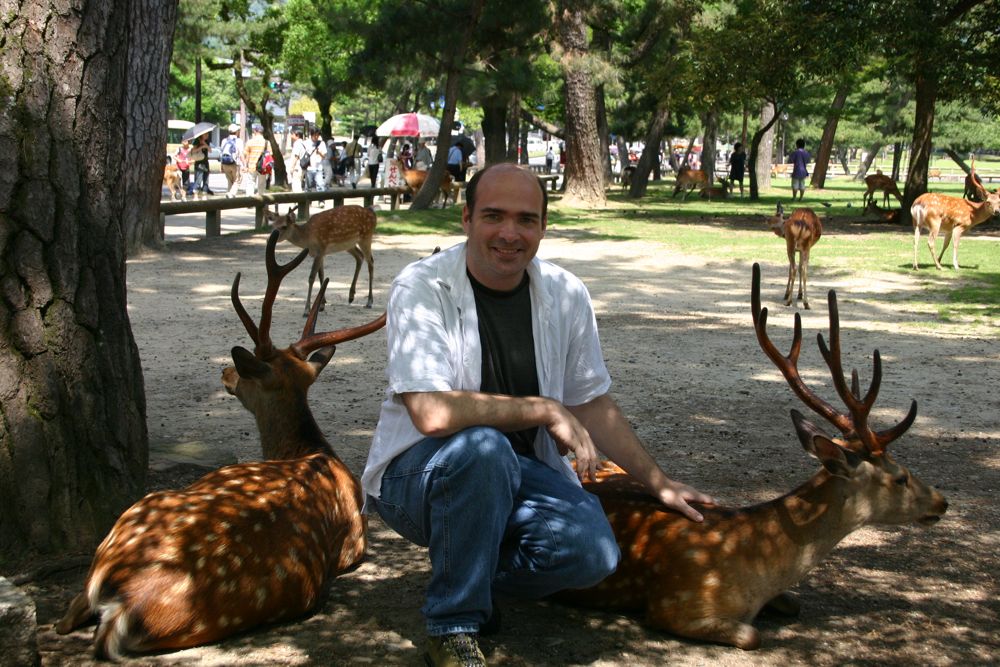 nara_mike_deer.jpg