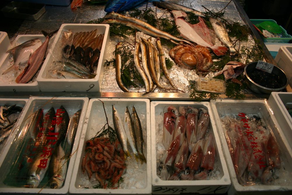 osaka_fishmarket1.jpg